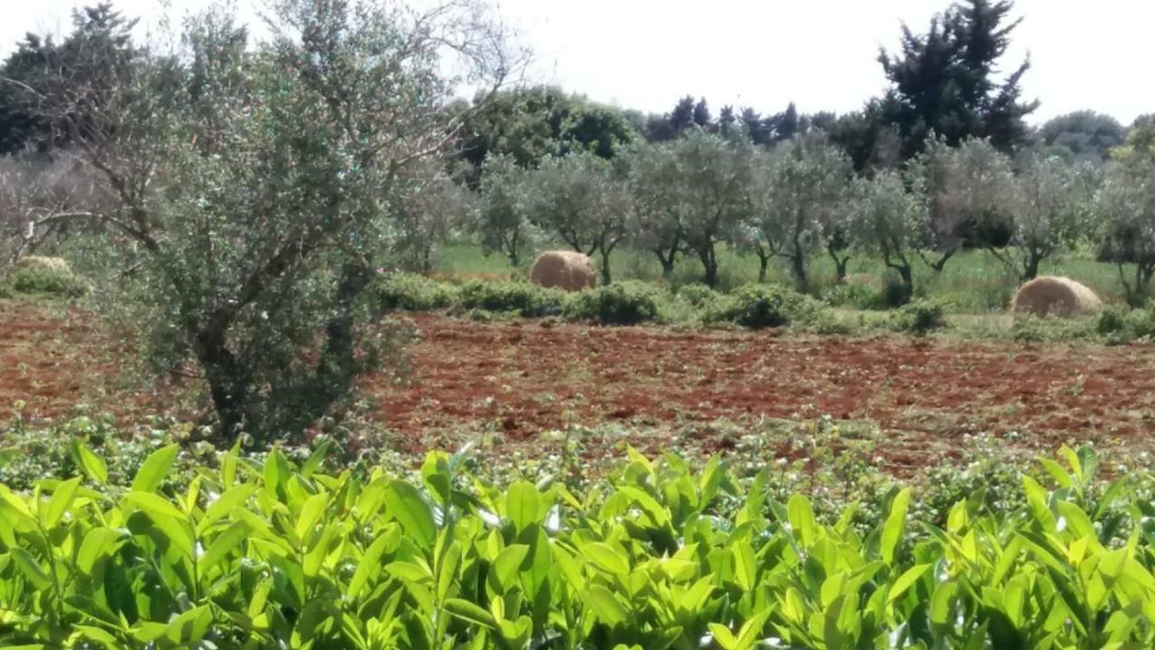 Villetta Orchidea Giuggianello Esterno foto